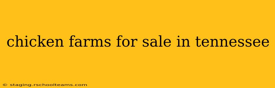 chicken farms for sale in tennessee