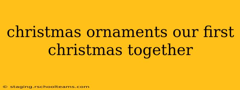 christmas ornaments our first christmas together