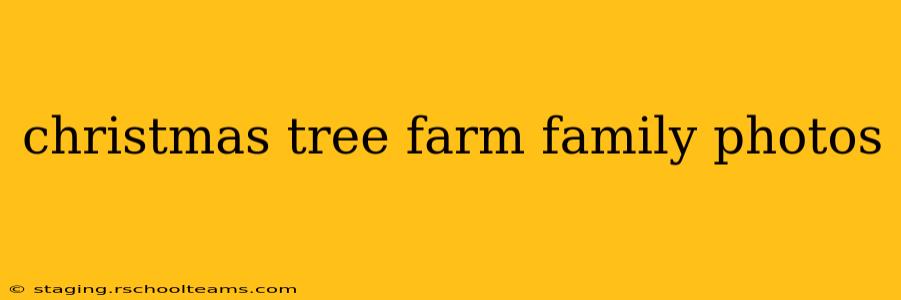 christmas tree farm family photos