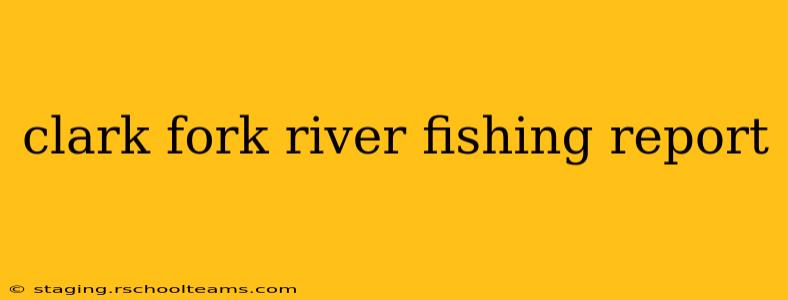clark fork river fishing report