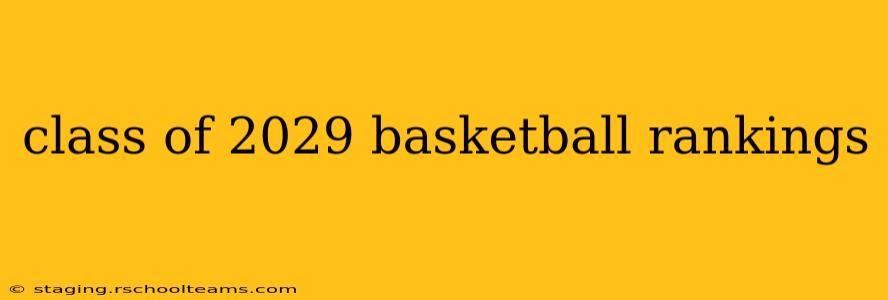 class of 2029 basketball rankings