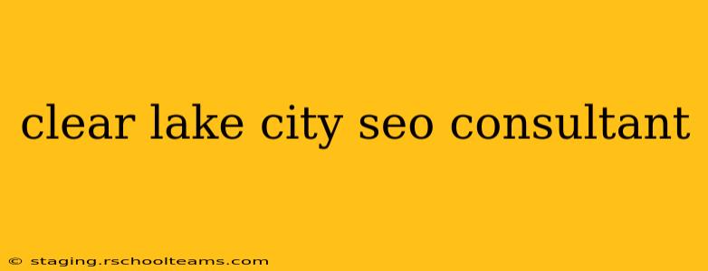 clear lake city seo consultant