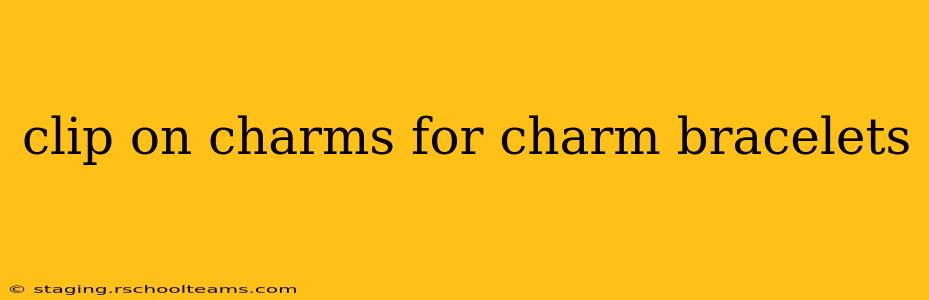 clip on charms for charm bracelets