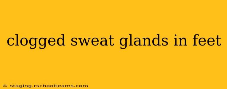 clogged sweat glands in feet