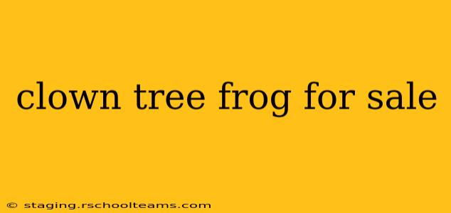 clown tree frog for sale
