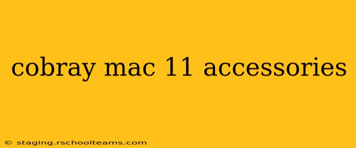 cobray mac 11 accessories