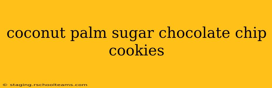 coconut palm sugar chocolate chip cookies