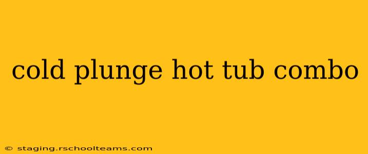 cold plunge hot tub combo