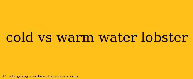 cold vs warm water lobster