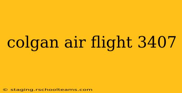 colgan air flight 3407
