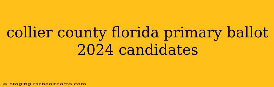collier county florida primary ballot 2024 candidates