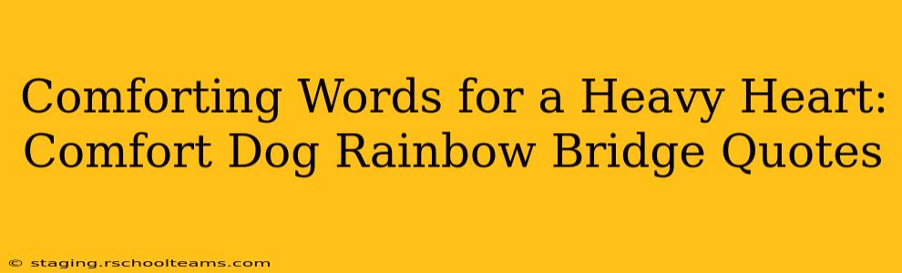 Comforting Words for a Heavy Heart: Comfort Dog Rainbow Bridge Quotes
