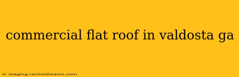 commercial flat roof in valdosta ga
