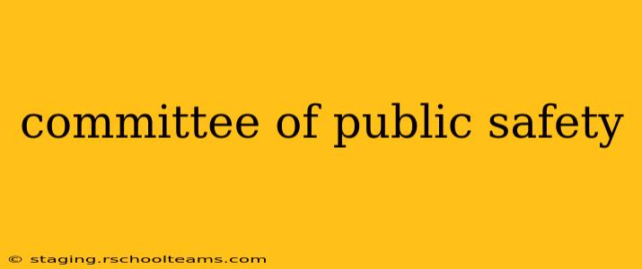 committee of public safety