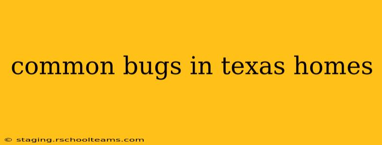 common bugs in texas homes