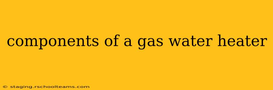 components of a gas water heater
