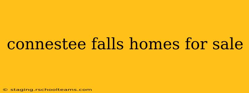 connestee falls homes for sale
