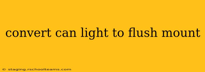 convert can light to flush mount