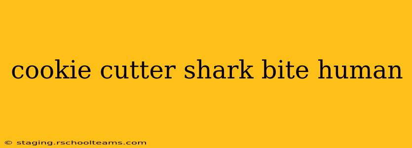 cookie cutter shark bite human