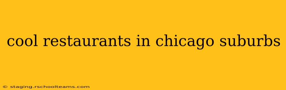 cool restaurants in chicago suburbs