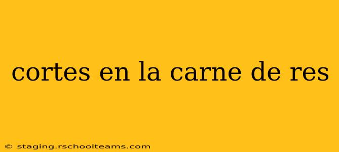 cortes en la carne de res