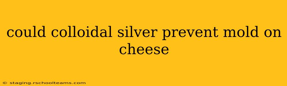 could colloidal silver prevent mold on cheese