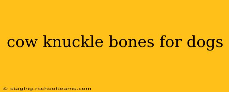 cow knuckle bones for dogs