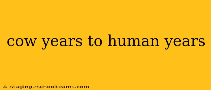 cow years to human years