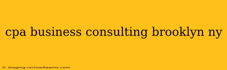 cpa business consulting brooklyn ny
