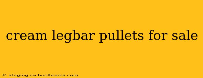 cream legbar pullets for sale