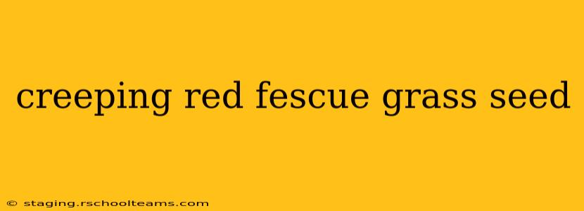 creeping red fescue grass seed