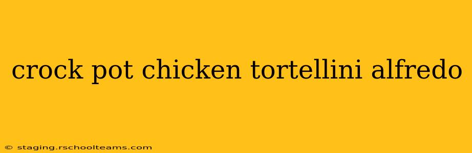 crock pot chicken tortellini alfredo