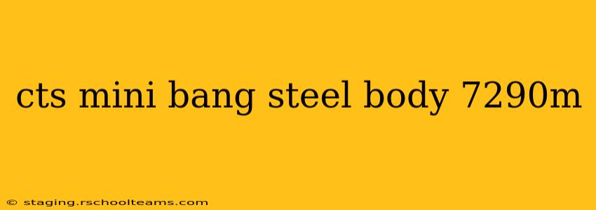 cts mini bang steel body 7290m