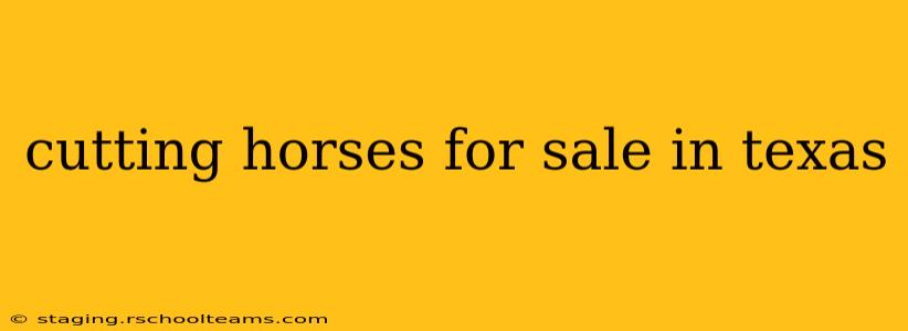cutting horses for sale in texas
