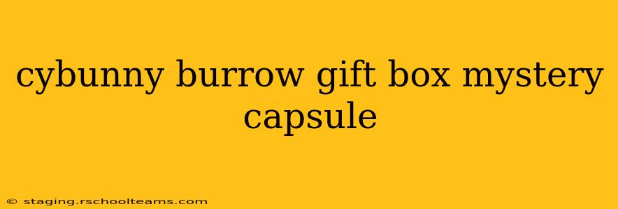 cybunny burrow gift box mystery capsule