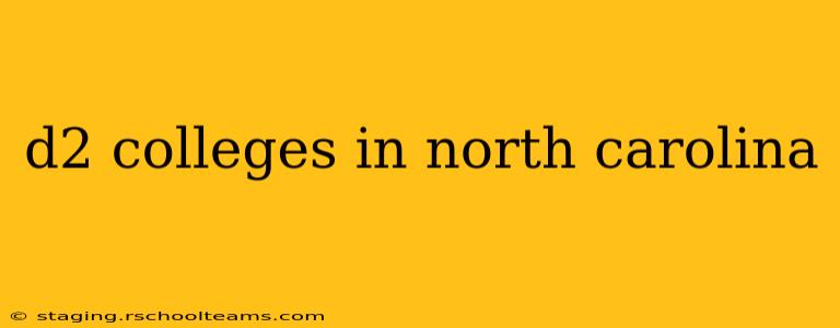 d2 colleges in north carolina