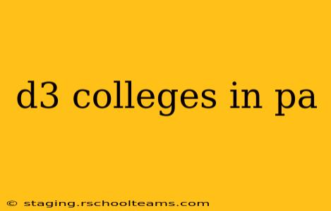 d3 colleges in pa