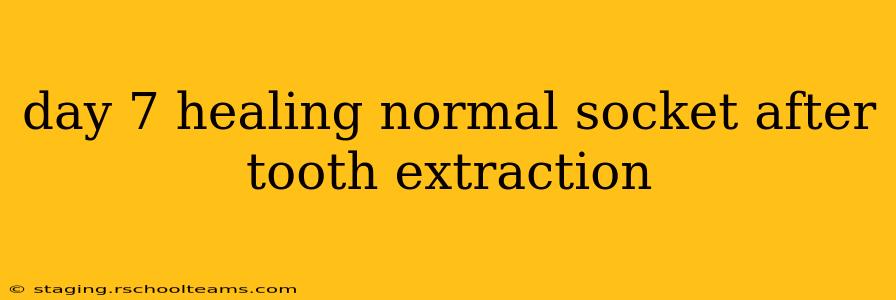 day 7 healing normal socket after tooth extraction