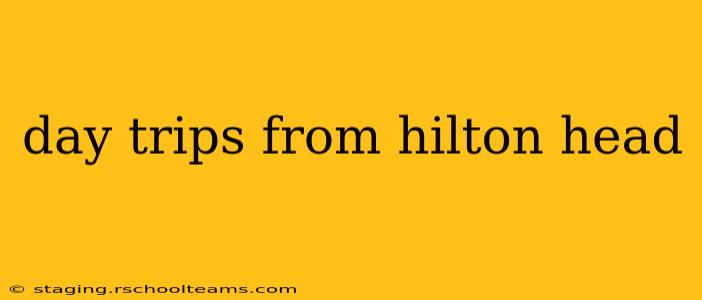 day trips from hilton head