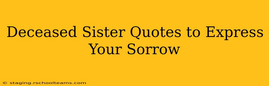 Deceased Sister Quotes to Express Your Sorrow