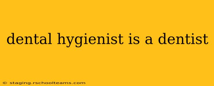 dental hygienist is a dentist