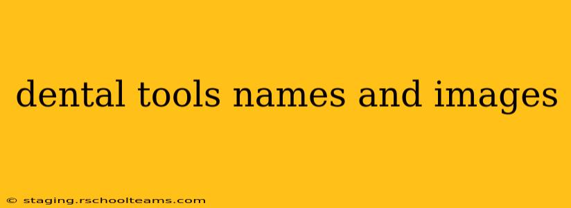 dental tools names and images