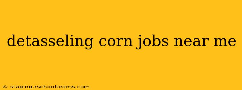 detasseling corn jobs near me