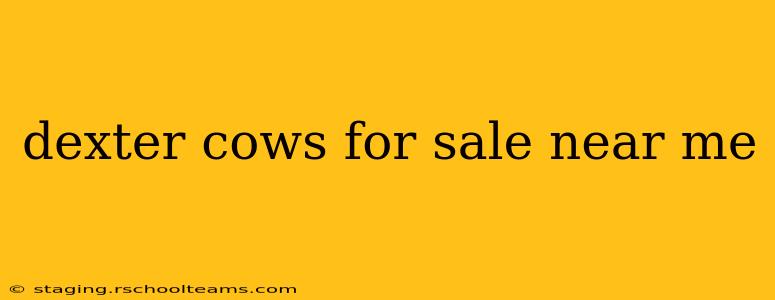 dexter cows for sale near me