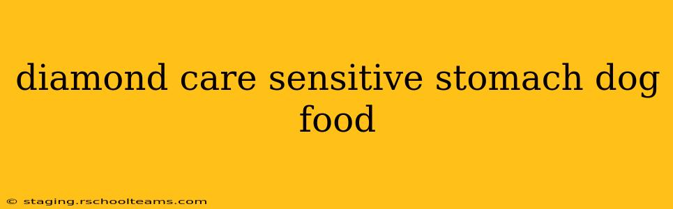 diamond care sensitive stomach dog food