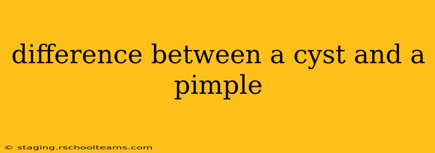 difference between a cyst and a pimple