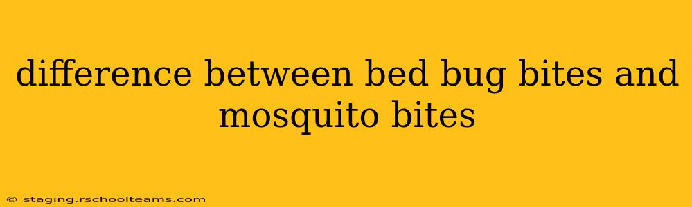 difference between bed bug bites and mosquito bites
