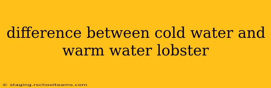 difference between cold water and warm water lobster