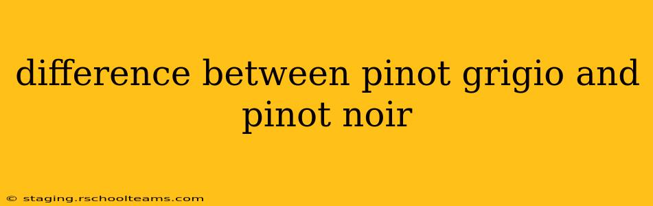 difference between pinot grigio and pinot noir