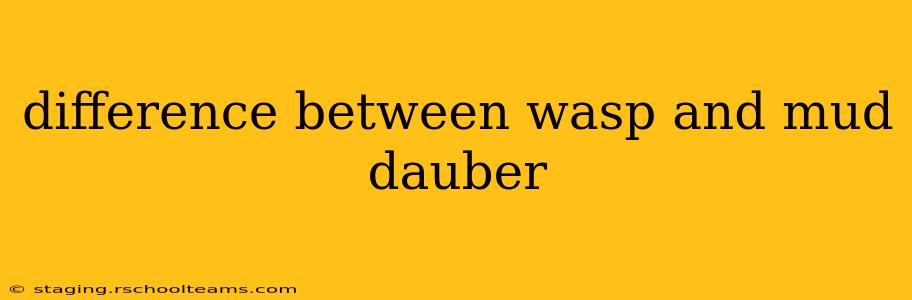 difference between wasp and mud dauber